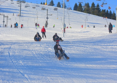Zieleniec 2017
